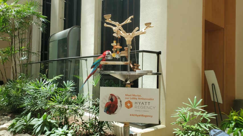 Hyatt Regency Grand Cypress Orlando Florida