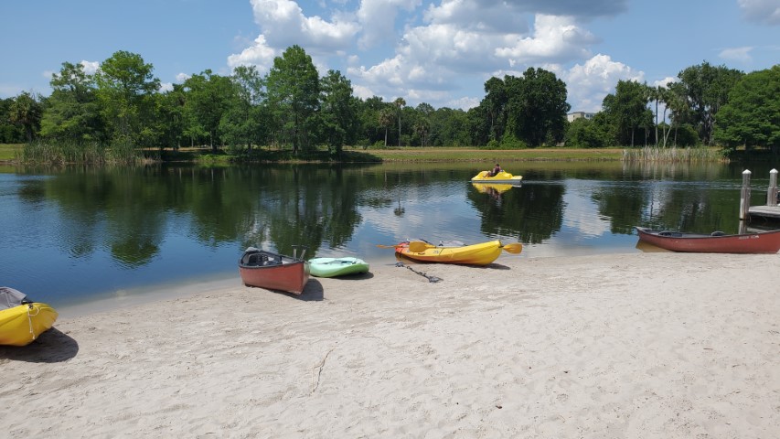 Hyatt Regency Grand Cypress beach