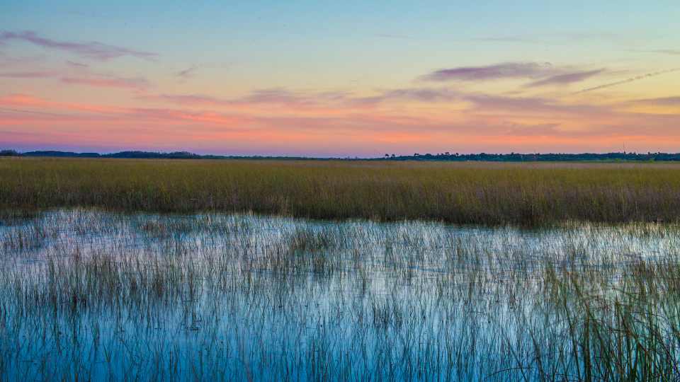 everglades national park